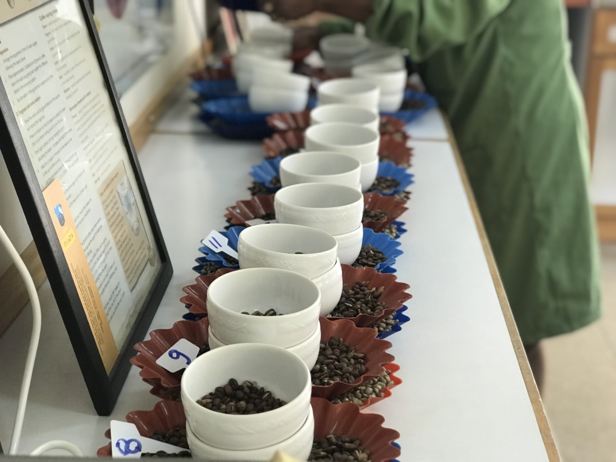 Coffee Trading Bero Coffee Singapore